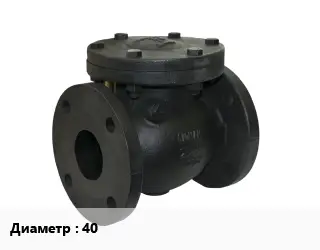 Клапан чугунный 40 обратный, двустворчатый